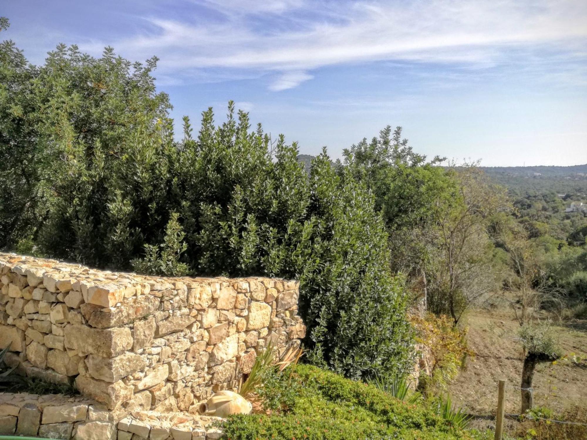 הוילה אסטוי Monte Da Ribeira חדר תמונה